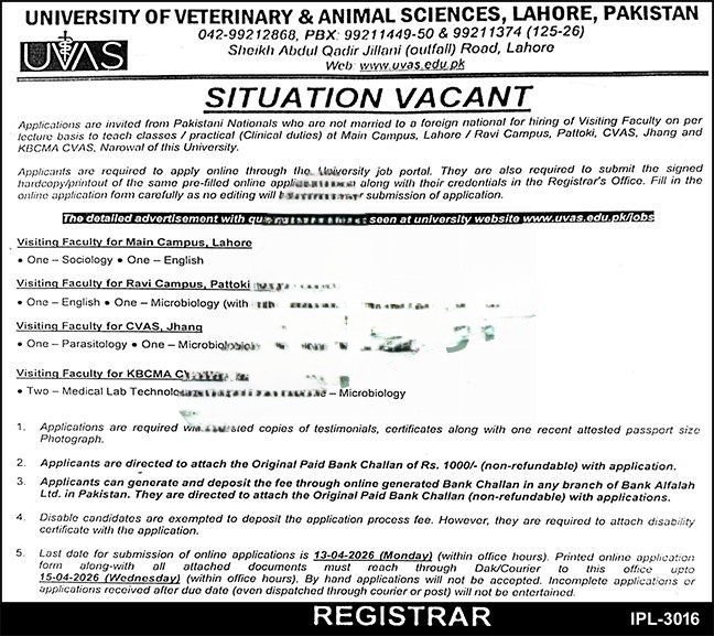 UVAS Lahore Jobs 2026